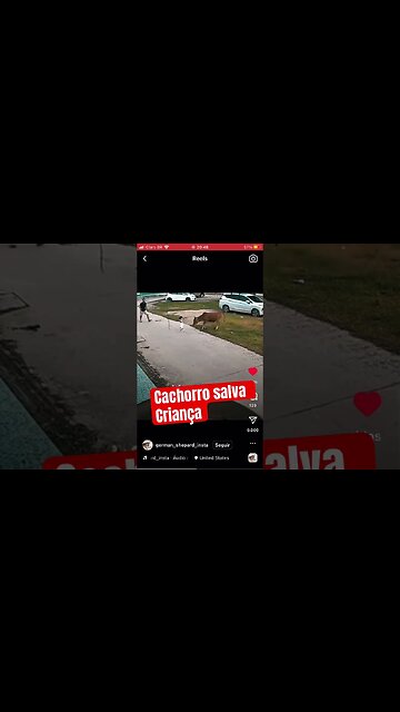 defesa pessoal cachorros são os melhores amigos das crianças #defesapessoal #kravmaga #cachorro