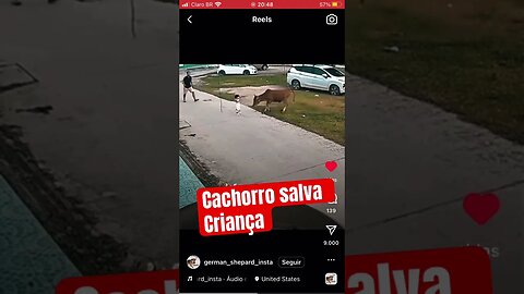 defesa pessoal cachorros são os melhores amigos das crianças #defesapessoal #kravmaga #cachorro