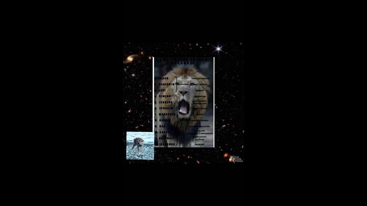3/5*ProphecticNews*vol2.