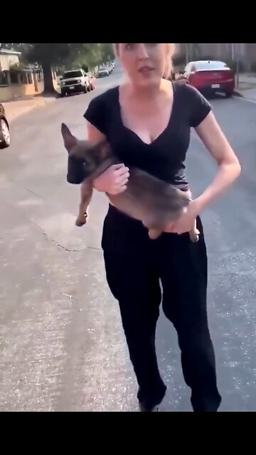 Woman throws her dog, man takes him to a better home