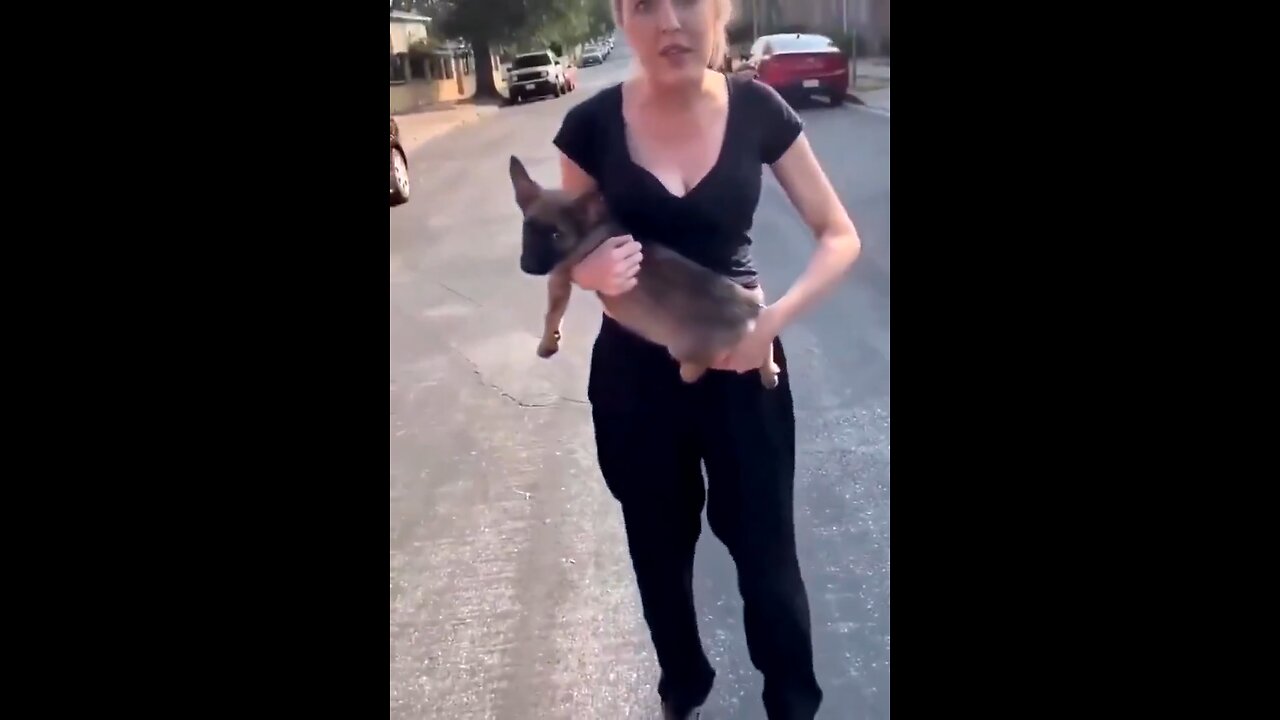 Woman throws her dog, man takes him to a better home