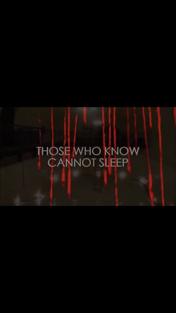 Trump is Winning for us!