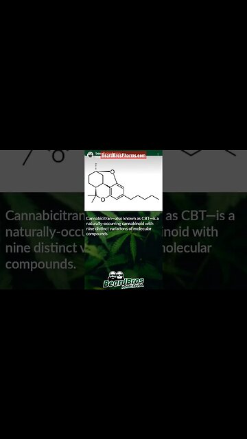What is CBT? (CANNABICITRAN) #shorts