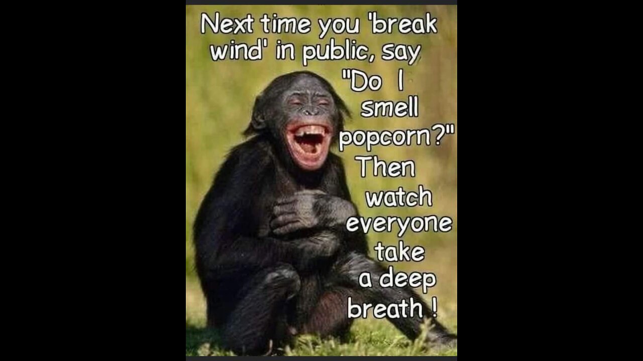 SARS MEATS and 2A 🇺🇸😎🤙