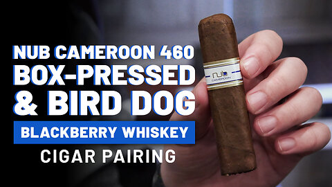 Nub Cameroon 460 Box-Pressed & Bird Dog Blackberry Whiskey | Cigar Pairing