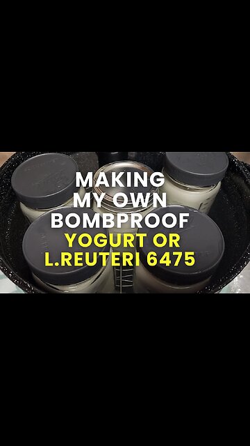 Making My Own Bombproof Yogurt Results