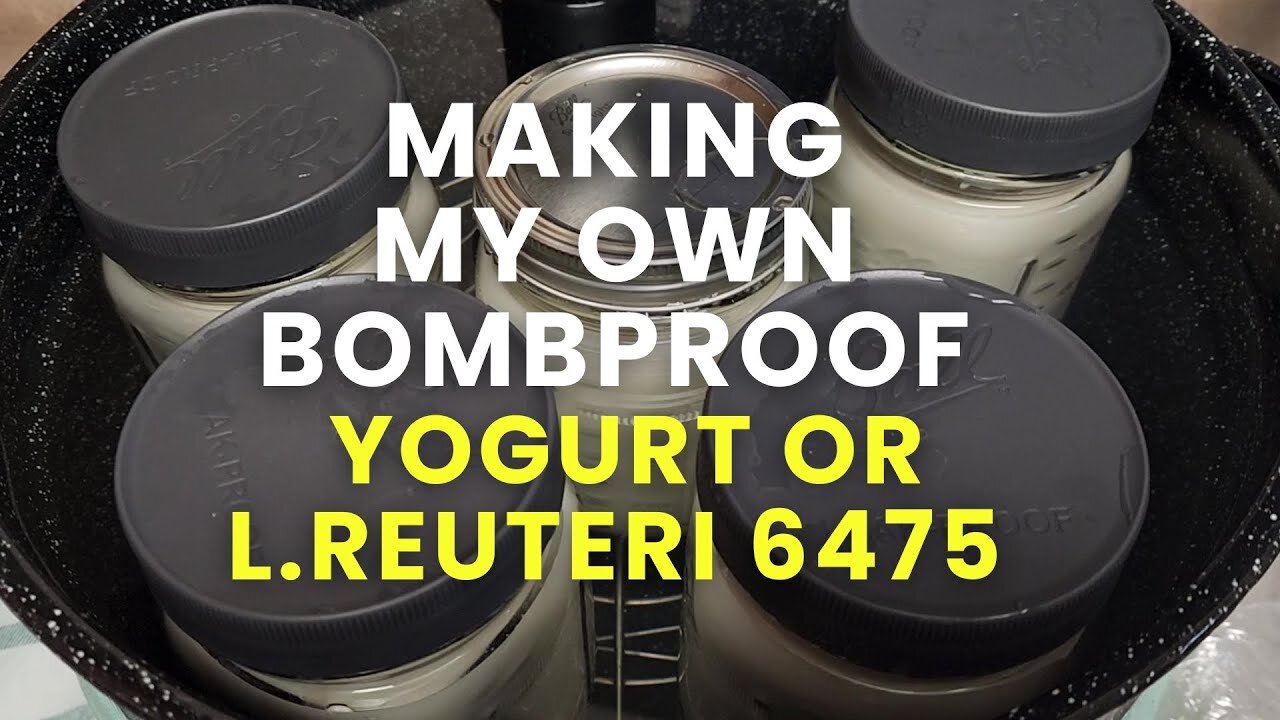 Making My Own Bombproof Yogurt Results