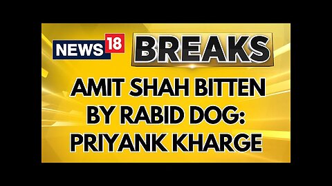 Ambedkar Row: Karnataka Minister Priyank Kharge Mocks Amit Shah, Says He Is Bitten By A Rabid Dog