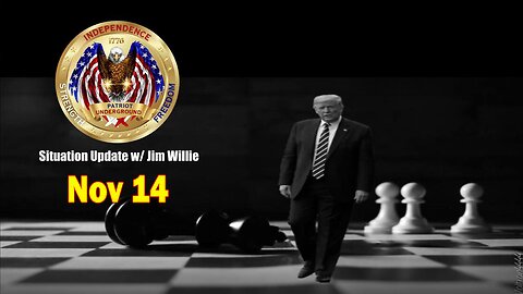 Patriot Underground BIG Intel Nov 14: "A Post-Election Situation Analysis Report"