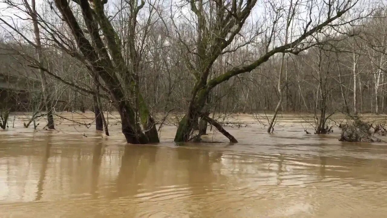 Tennessee is flooded!