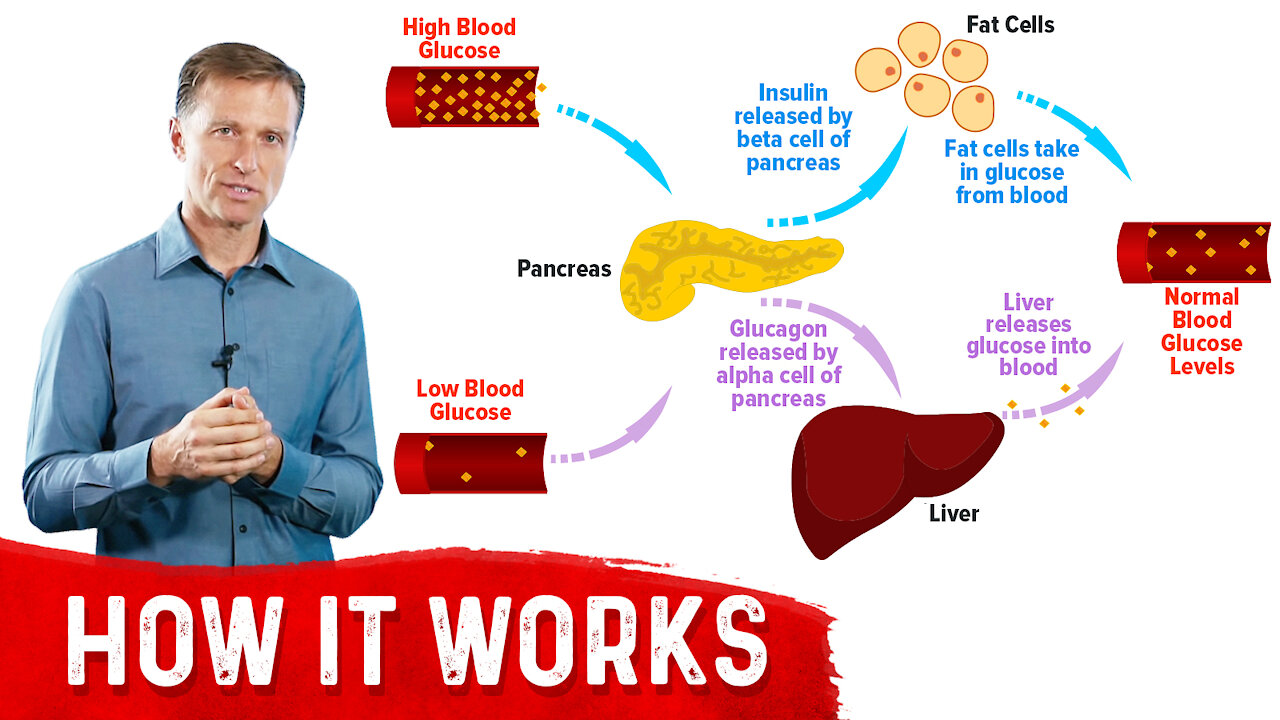 Insulin's Partner Glucagon