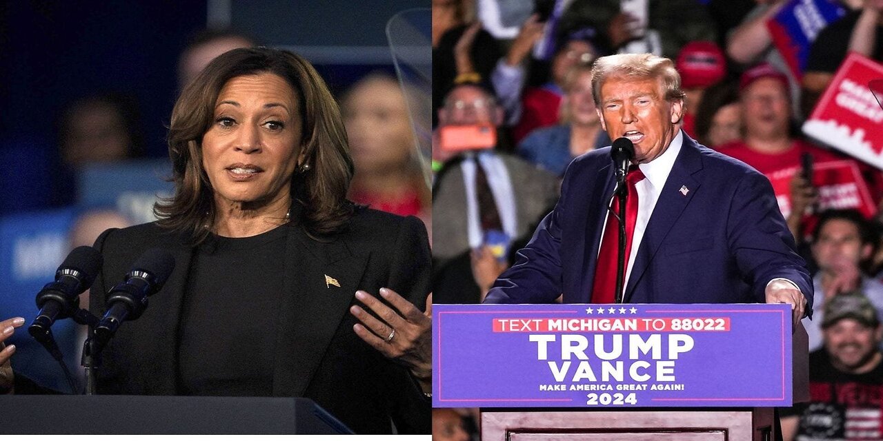 USA NEWS Today / Forget the polls? Prediction fever takes over Trump vs. Harris 2024 election