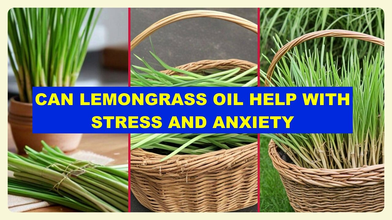 From Stress Relief to Immune Support: How Lemongrass Oil Can Elevate Your Health Today