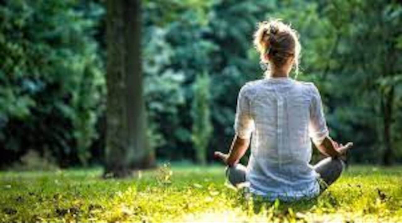 Relaxing Music Relaxing Jungle Sound With Birds, Nature Meditation & Stress Relief , Stay healthy