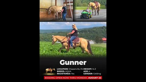 ENDED ⚜ ᵀᴴᴱ 𝐇𝐄𝐑𝐈𝐓𝐀𝐆𝐄 𝓒𝓵𝓪𝓼𝓼𝓲𝓬 ⚜ **ending MONDAY, AUGUST 22nd** www.horsebid.com