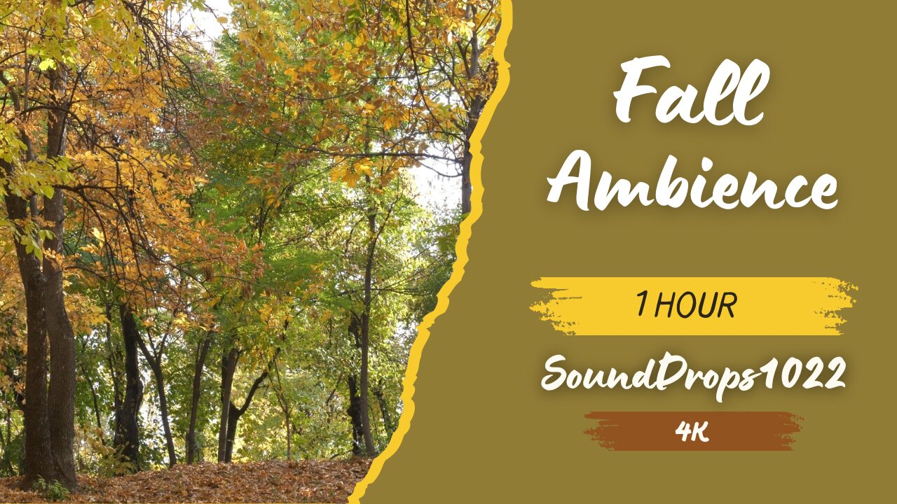 1 Hour of Fall Bliss: Relaxing Autumn Ambience