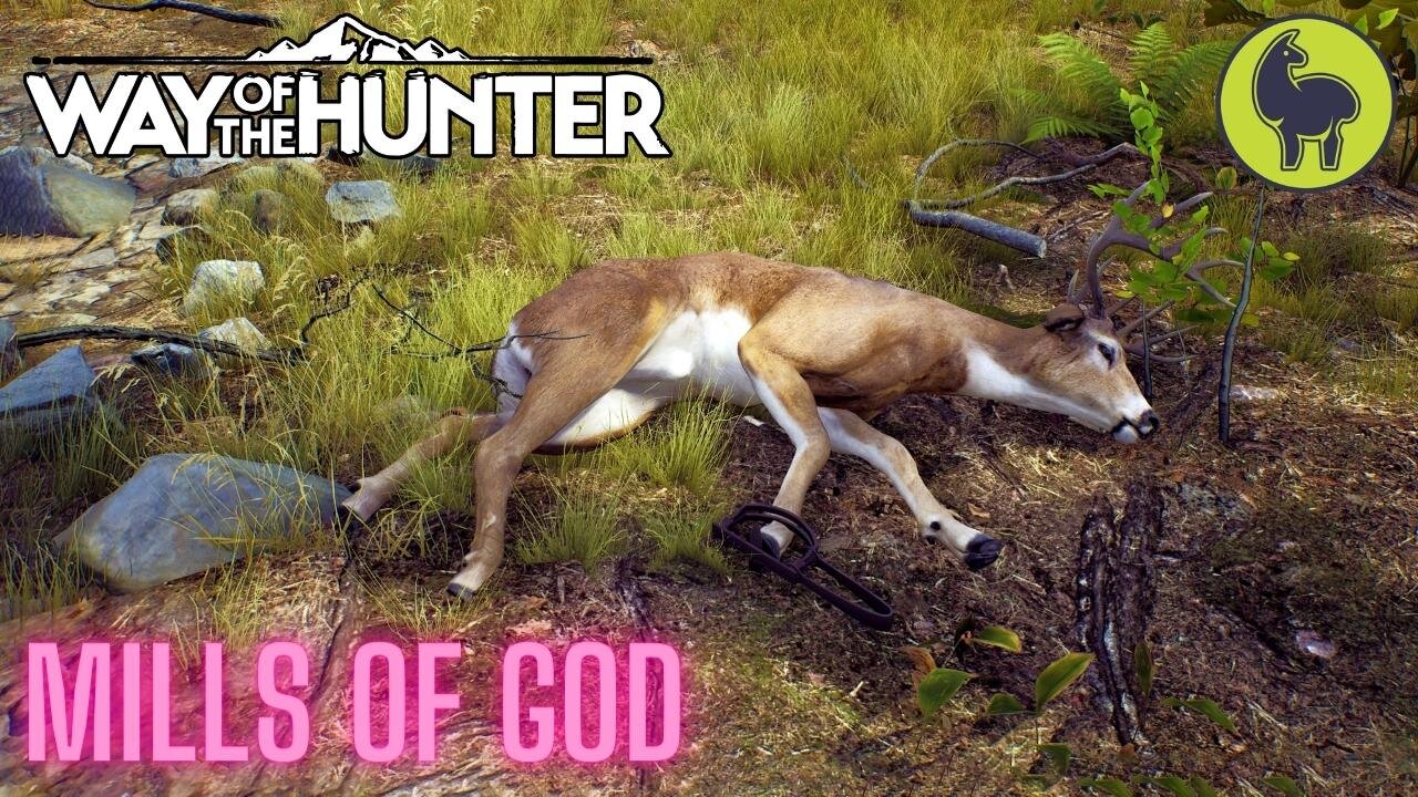 Mills of God, Vlkov's Cabin Jobs | Way of the Hunter (PS5 4K)