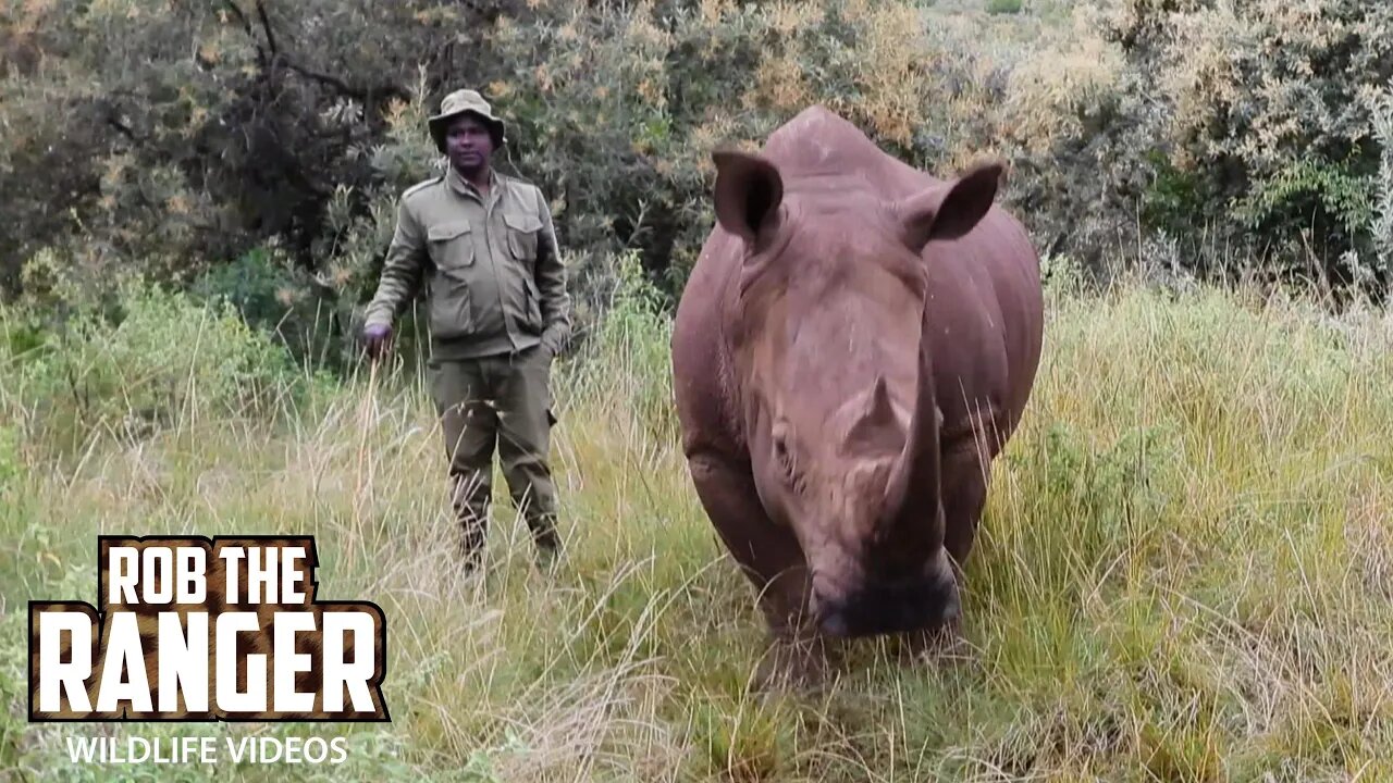 Youtubers Visit The Rhino Sanctuary | Lalashe Maasai Mara Safari