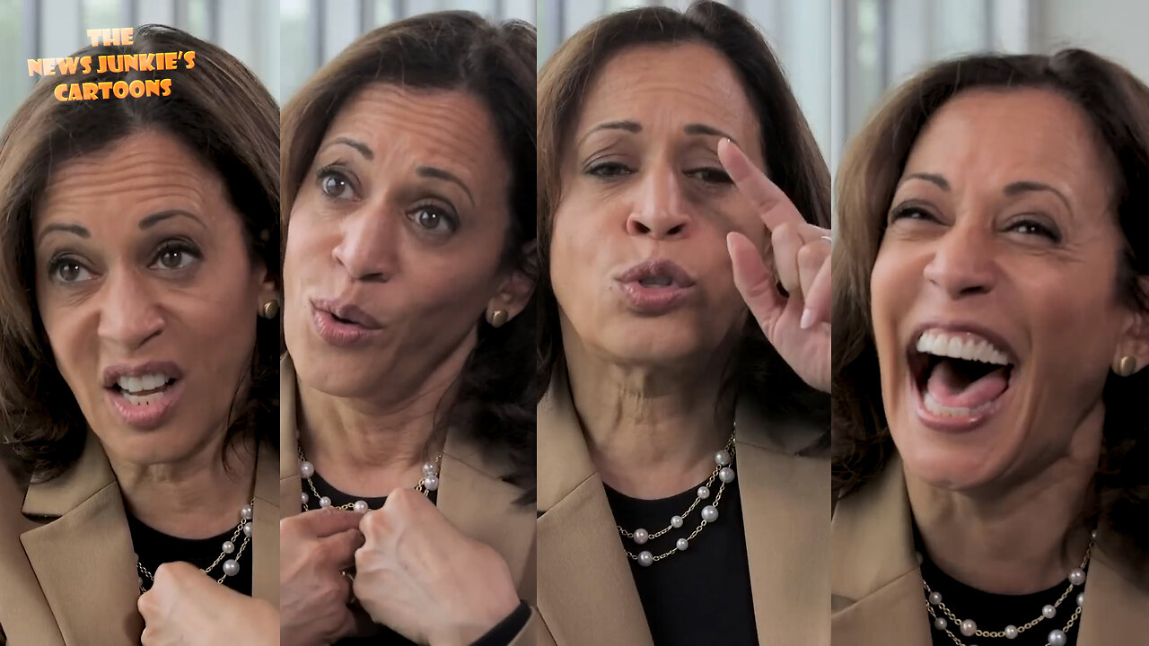 Kamala is like a drunk woman you met in a bar and you find yourself stuck and forced to listen while you keep saying "yeah, right, exactly, no question about it, yeah, uh huh, yep, right..."