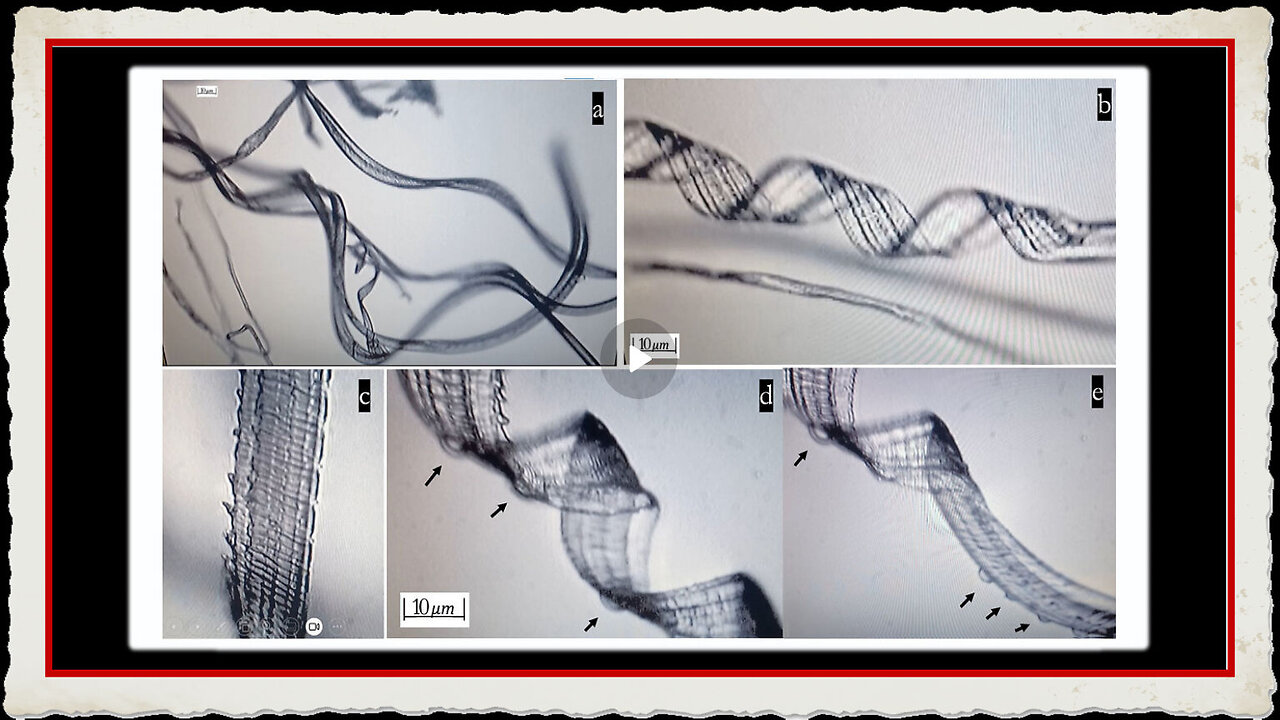 Recent Study Shows Self-Assembly Nanobots in the COVID-19 Injectables