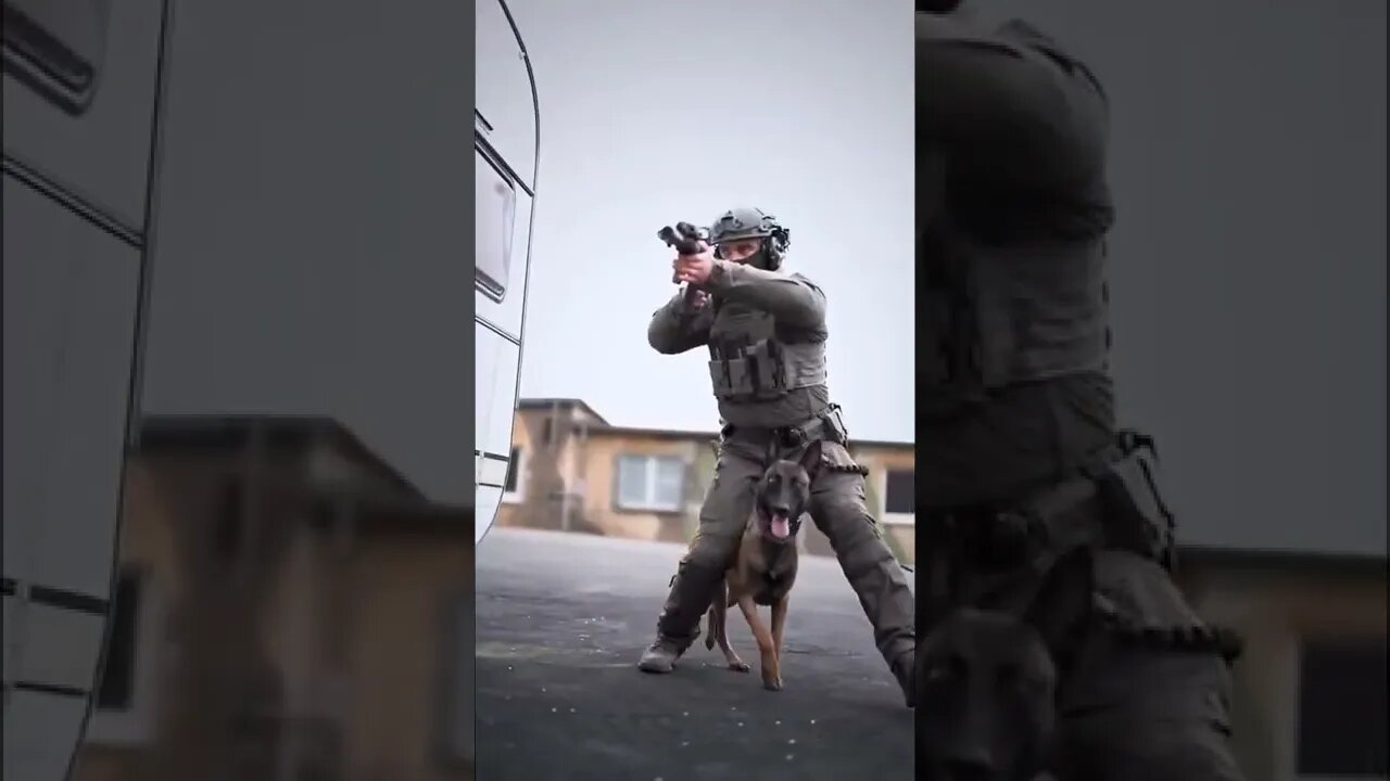 #army dogs #soldier #shorts
