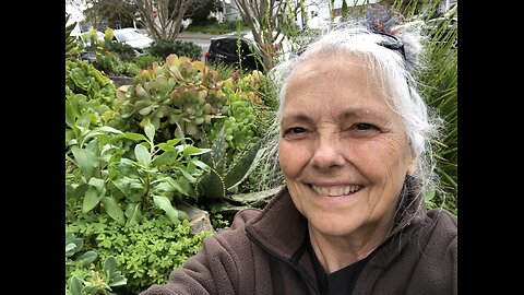 Happy Wednesday!!! A mini tour of a Friends Mature Succlent +++Garden//Wisdom Collective by Rena