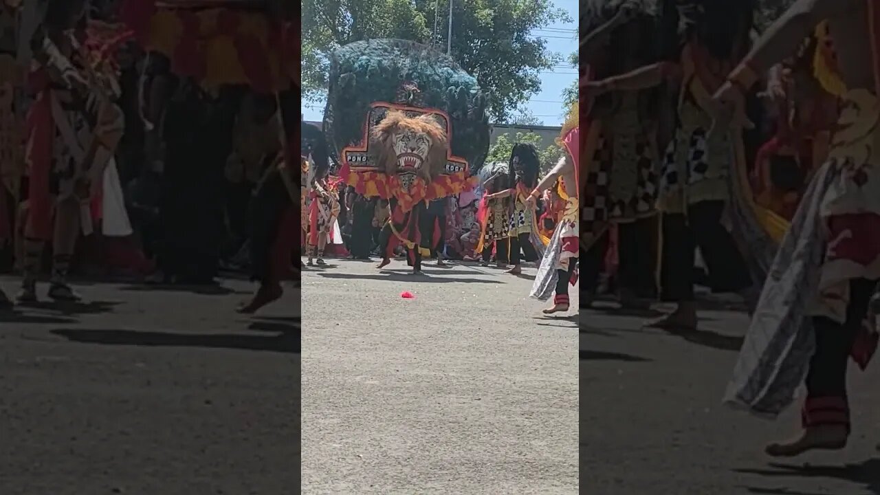 Atraksi heboh Barongan di Pamotan