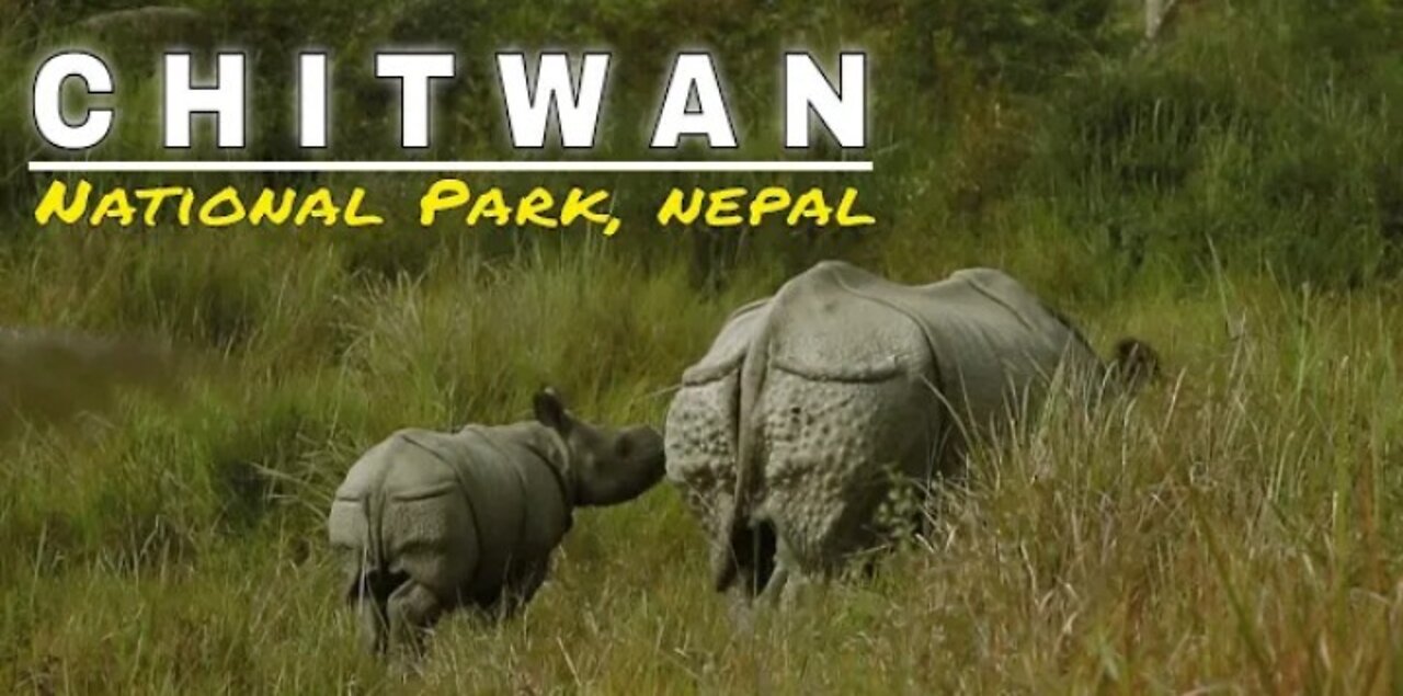 Jungle Safari Nepal |Chitwan, Nepal | Karan Giri