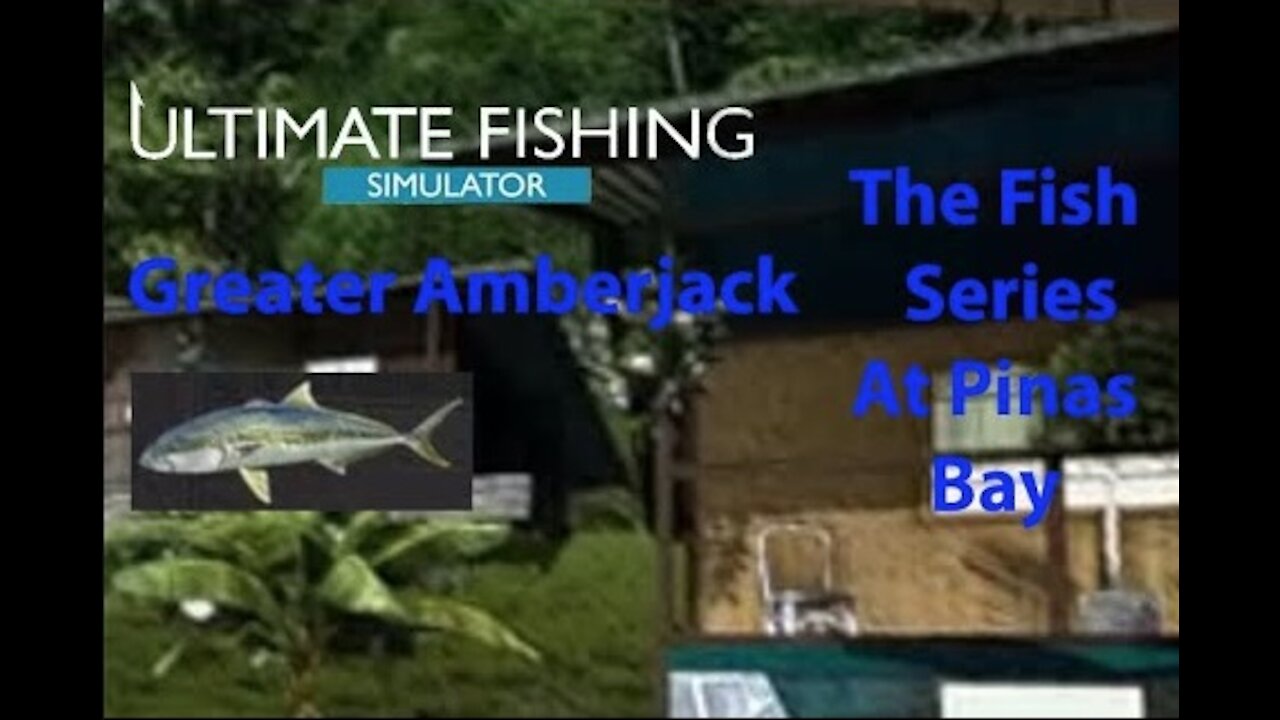 Ultimate Fishing Simulator: The Fish - PinasBay - Greater Amberjack - [00040]