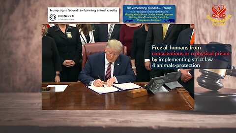Implementing strict law 4 animals-protection
