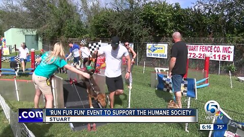 "Run for Fun" event held in Stuart to support the Humane Society