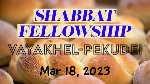 Shabbat Fellowship - Vayakhel-Pekudei - Plus LIVE Q&A (Mar 18 2023)