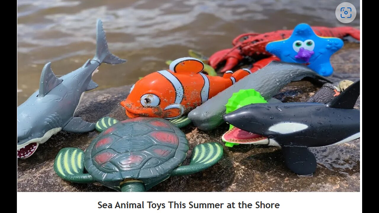 Sea Animal Toys This summer At The Store