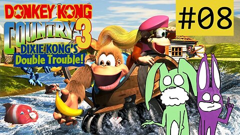 FICKSOßENBOYS | Donkey Kong Country 3 mit RED & GREEN #08