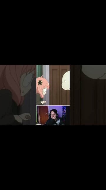 Comidinha de cachorro..