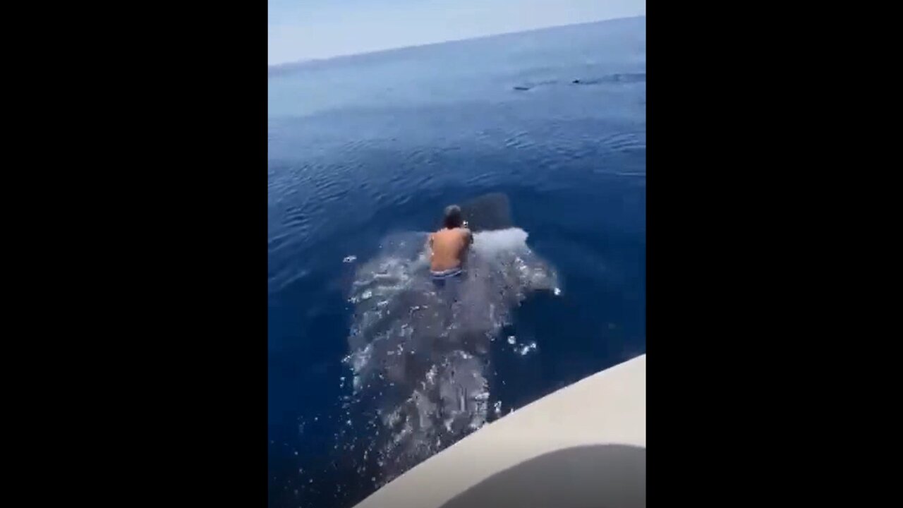 he rides on a whale