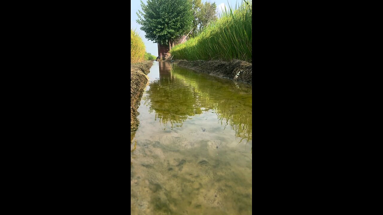 punjabview