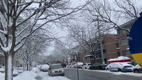 Quartier Triangle Snowfall