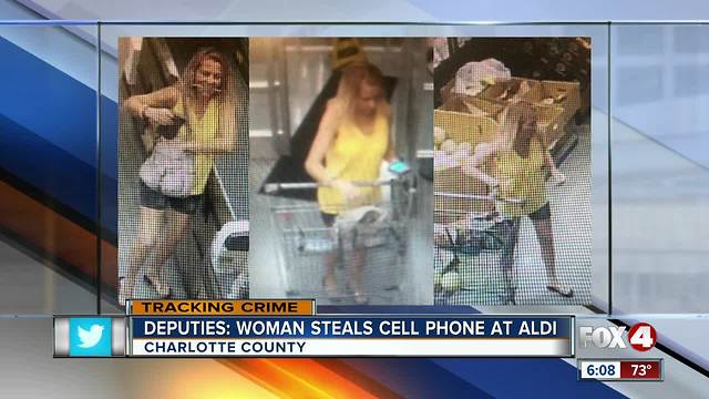 Charlotte County Deputies search for a woman accused of stealing a cell phone