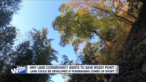 WNY Land Conservancy trying to save "Mossy Point" in Wales from being developed