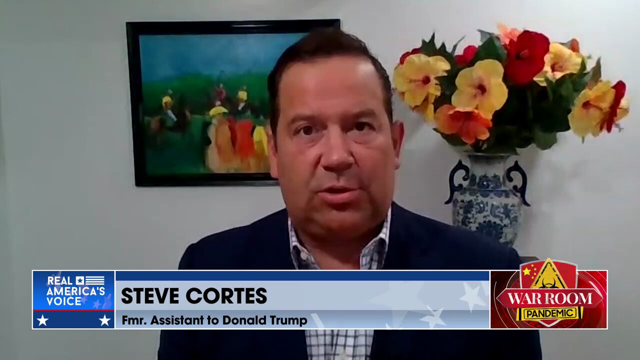 Steve Cortes: MAGA's Prepared To Partake In Roosevelt-Level Trust Busting Of Big Tech