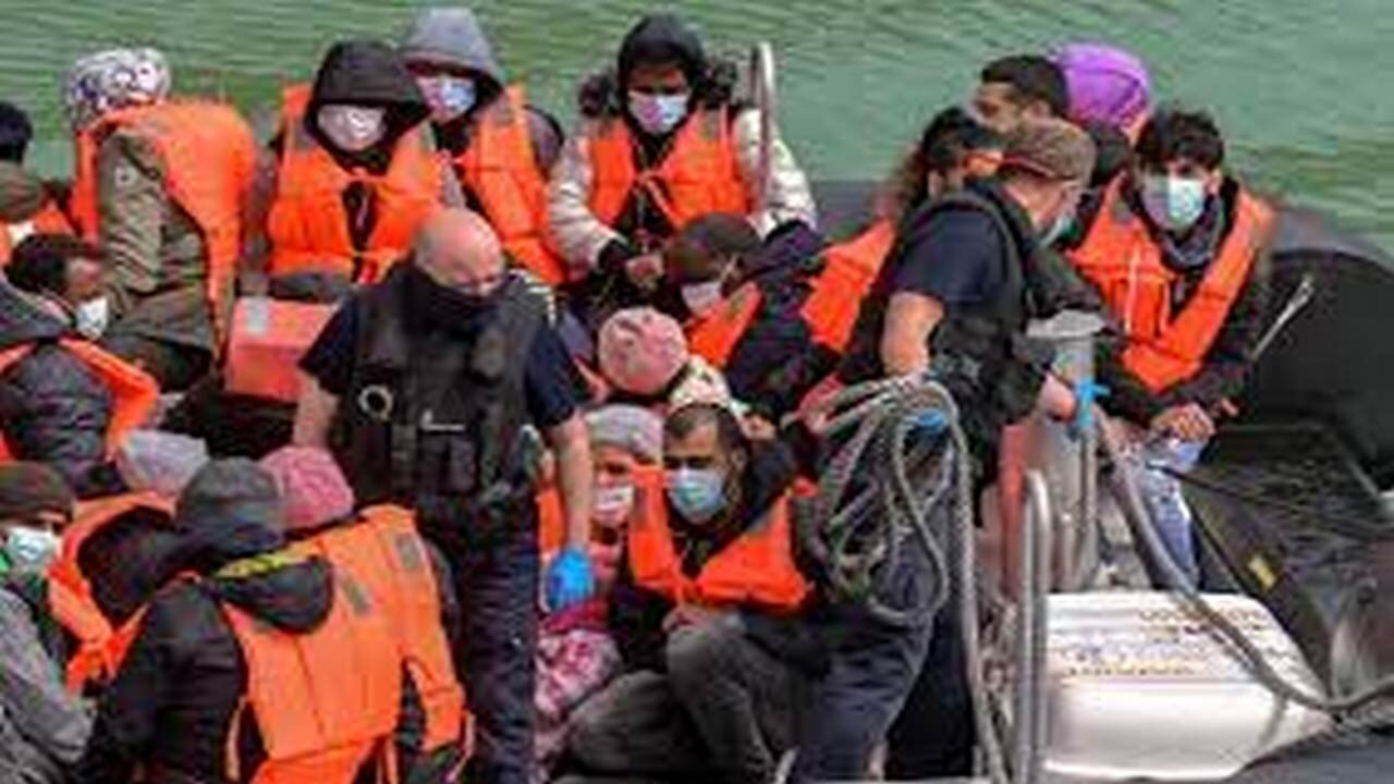 Activists lawyers for Rapist and Paedophile illegal migrants!