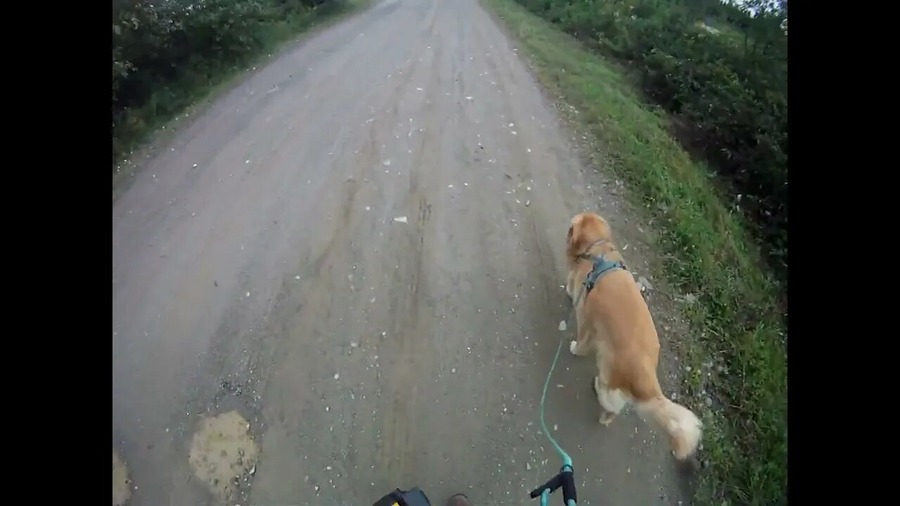 August 27th, 58º and windy. Flynn and I head North, he's done early.