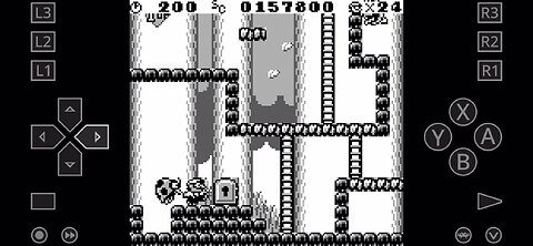 Donkey kong (1994) on game boy emulator Forest Stage 2-1 (23 seconds)