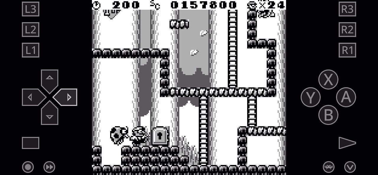 Donkey kong (1994) on game boy emulator Forest Stage 2-1 (23 seconds)