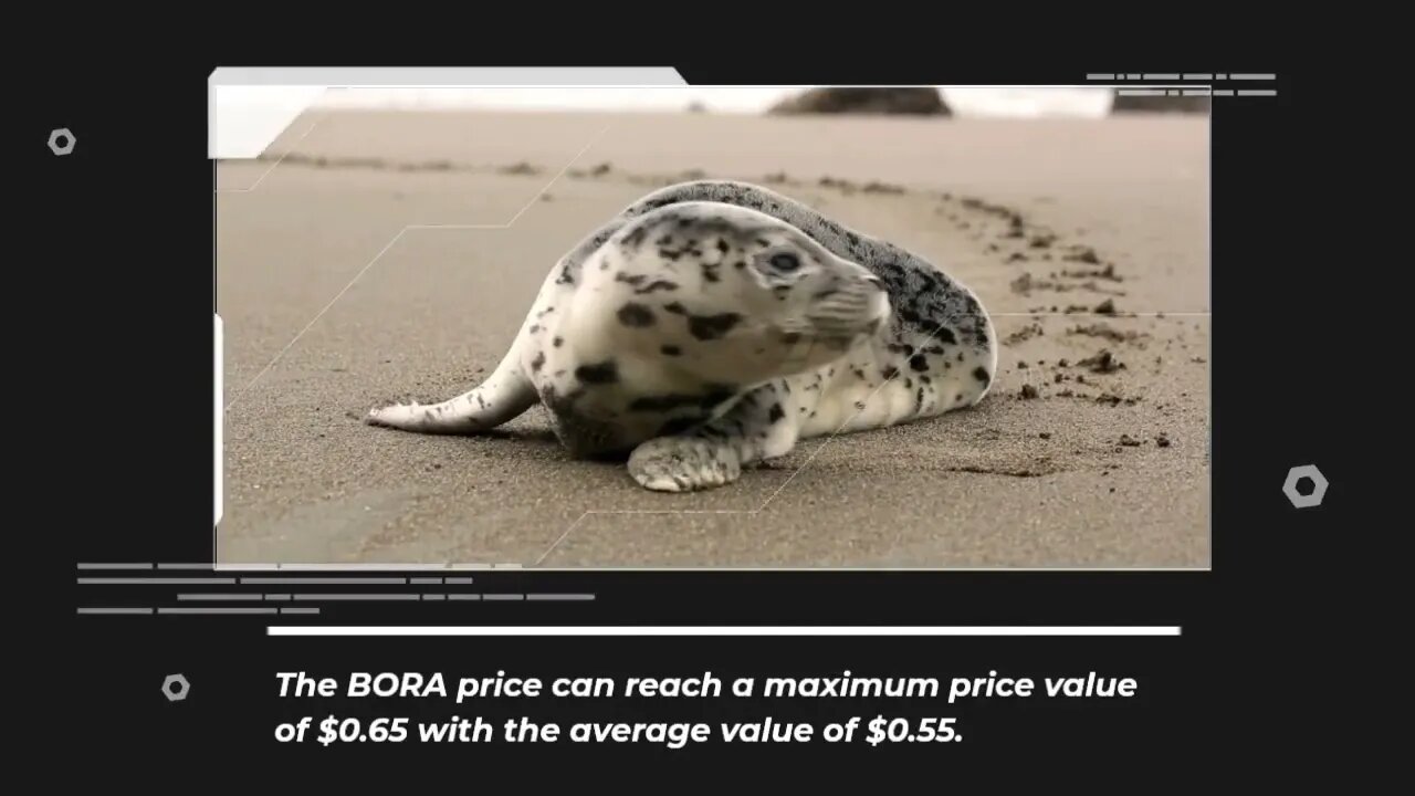 BORA Price Prediction 2023, 2025, 2030 Future of BORA