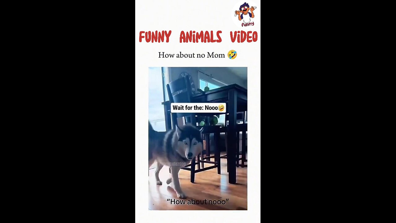 Funny Hilarious video That makes you Laugh😂😂 part-13