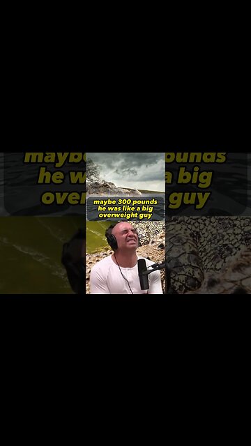 Surviving Crocodile-Infested Waters with Kelly Slater | Joe Rogan Experience