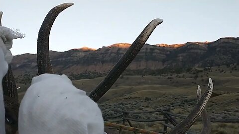 Dreams come true @broken5792 #elk #elkhunting #bullelk