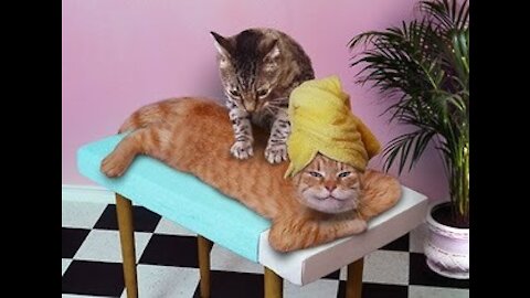When you're 26 y.o and still live with mom 😹😹